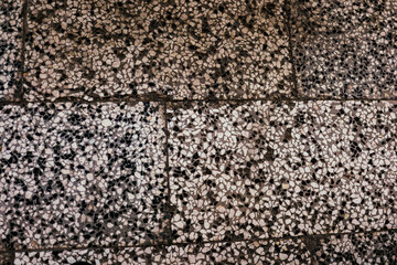 Macro view of an old gray concrete wall with surface pitting, erosion marks, and fine cracks. The weathered cement texture is dry and uneven, suitable for architectural visualization, brutalist