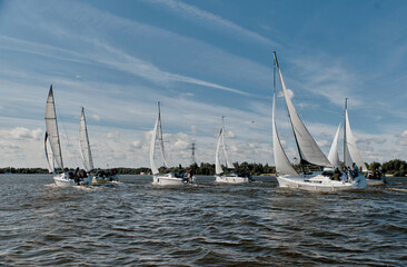 A group of sailboats with white sails gliding across the blue water under a clear sky. Sailing...