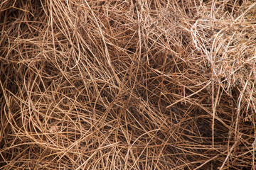Hay texture. Hay and straw photo. Yellow dry grass background