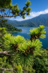 Pine branch with cones on lake background for environmental blog or tourism ad