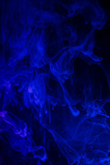 Vertical composition of flowing blue smoke patterns.