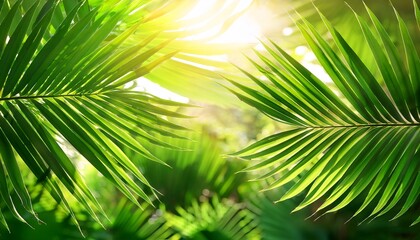 Obraz premium sunlight filtering through vibrant green palm leaves