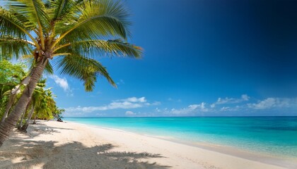 serene tropical beach landscape with palm trees turquoise water and sandy shoreline