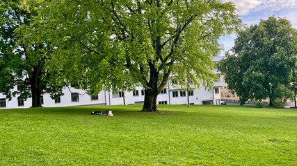 Oslo Kampen Park during Spring. Lying on the Green Lawn.