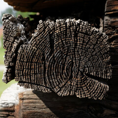 Obraz premium drewno