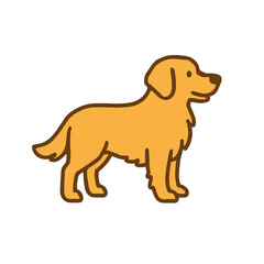 Golden retriever standing in a playful pose against a simple background  