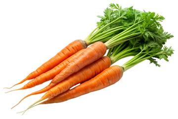Fresh Carrots Transparent PNG