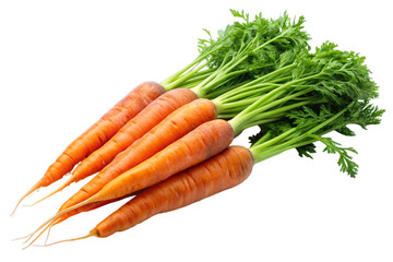 Fresh Carrots Transparent PNG