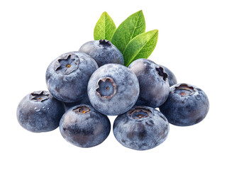 Fresh Blueberries Transparent PNG