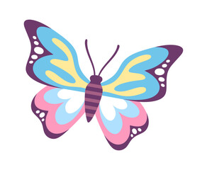 Obraz premium Cartoon butterfly bright insect design