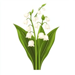 Fototapeta premium A sprig of lily of the valley with delicate white bell-shaped flowers and two large green leaves is showcased in a botanical illustration
