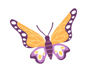 Cute cartoon butterfly colorful element