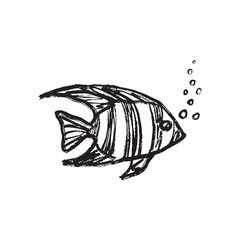 Butterfly fish with bold stripes, flowing fins, and bubbles in black brush stroke texture isolated on white. Hand drawn vector sketch illustration in vintage charcoal ink. Marine underwater, diving.