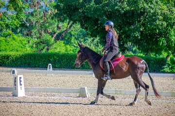 Female Rider and Small Mule in Equestrian Eventing Competition