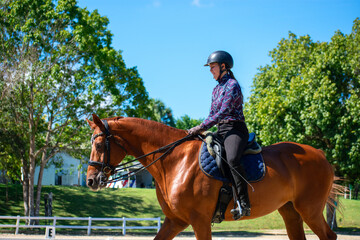 Young Woman Practicing Dressage on Chestnut Mare