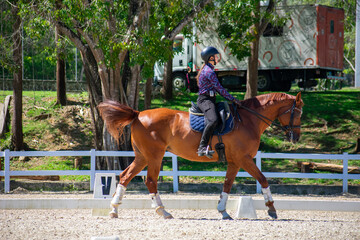 Young Woman Practicing Dressage on Chestnut Mare