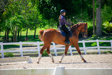 Young Woman Practicing Dressage on Chestnut Mare