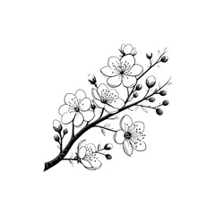 A black and white drawing of a branch with white flowers