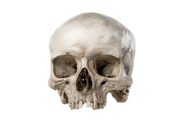 Obraz premium PNG Human skull front view on black background: detailed bone structure anatomy