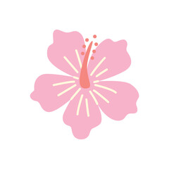 Hand drawn pink hibiscus flower vector. Tropical botanical illustration for summer design, floral decoration, or exotic print projects.