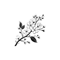A black and white drawing of a branch with white flowers