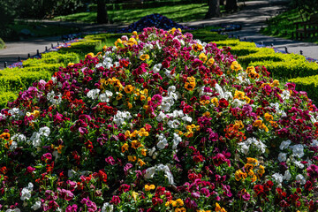 Lawns and flowerbeds in Oliwa Park in Gdansk