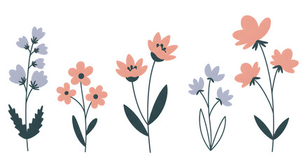 Of botanical illustration