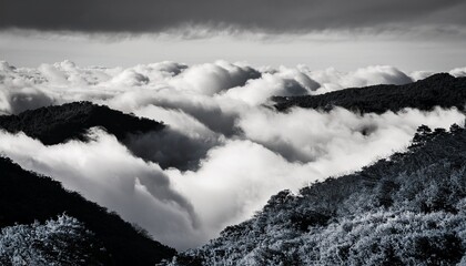 black and white clouds and fog