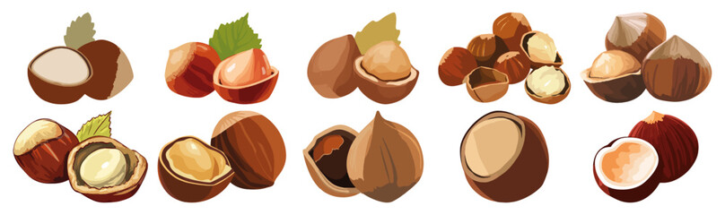 Fototapeta premium Set of Hazelnut with shelled Flat Vector Illustration on Transparent Background