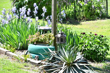 Flowers and Plants in a Garden