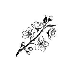 floral background with flowers