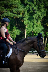 Young Woman in Queen of Hearts Costume Rides Bay Gelding at Halloween Event