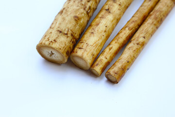 Fresh burdock roots or gobo roots