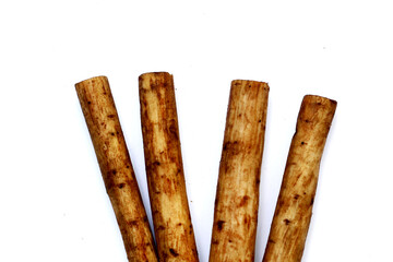 Fresh burdock roots or gobo roots