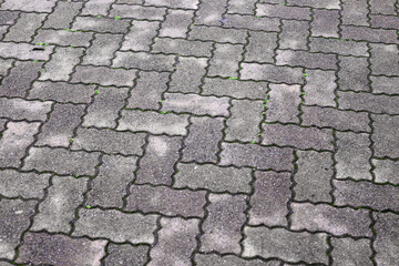Pavement brickwork in Tokyo Japan