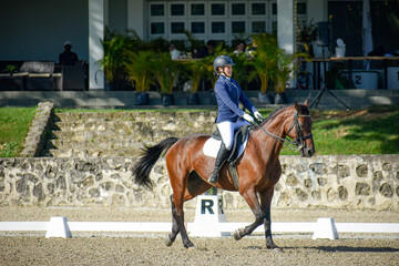 Female Rider and Bay Gelding in Dressage Performance