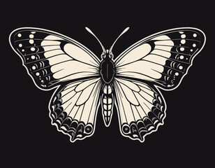 Vintage illustration of butterfly t shirt design, vector graphic, typographic poster or tshirts street wear and Urban style