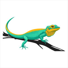 Obraz premium Anole vektor flat