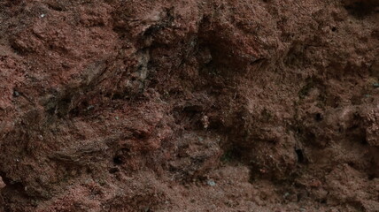 Rough Brown Rock Texture with Varied Tones Background for Natural and Earthy Looks