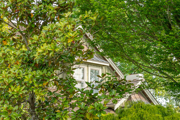 Top of grey stucco luxury house with shingle roof, green trees and nice windows in Spring in...