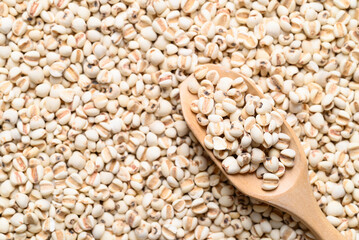 Dried Job's tears or adlay millet seeds background with wooden scoop, Food ingredient