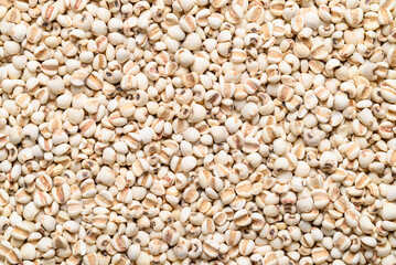 Dried Job's tears or adlay millet seeds texture background, Food ingredient