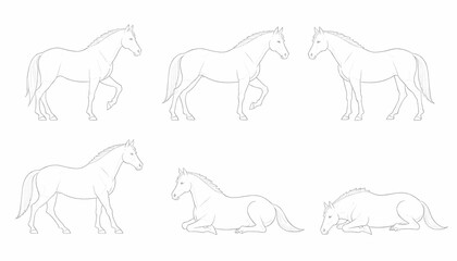 Fototapeta premium Line art drawing set of horses in various poses.
