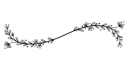 Stunning Night Sky: Starry Night Photography