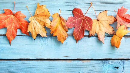 Fototapeta premium Autumn Leaves on Blue Wooden Background Fall Season