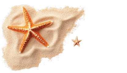 A Large Starfish And A Smaller Starfish Rest On A Pile Of Sand Isolated On A Transparent Background The Sand Is Spread Out In A Natural Organic Way With A Small Ripple Pattern Visible On The Surface