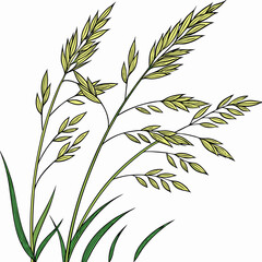 Obraz premium Creative Grass Vector Illustration | Beautiful Green Grass Design for Nature, Landscape, Gardening, and Eco-Friendly Projects