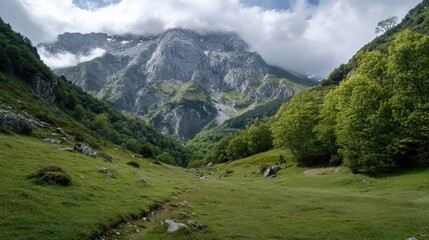 Naklejka premium Scenic Landscape View of a Mountain Valley with Green Grass and Trees