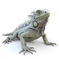 Obraz premium Light gray iguana against a plain white background.