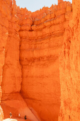 Queens Garden Trail Hike